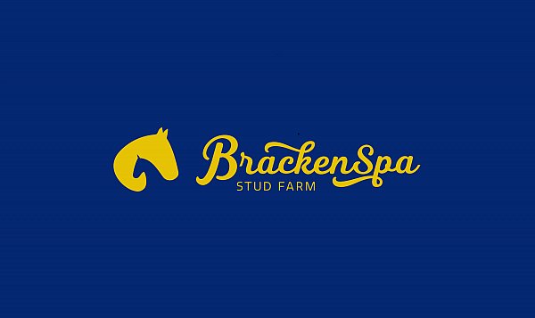 bracken spa gold logo with background 2.jpg